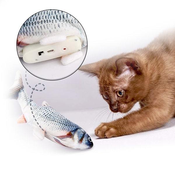 Cat toy outlet electric